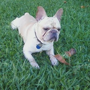 Meet your Posher, Desiree